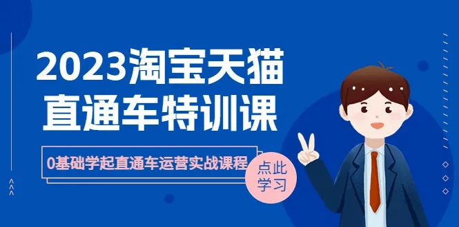 2023年淘宝天猫直通车运营实战课程：从零开始学习-网赚项目