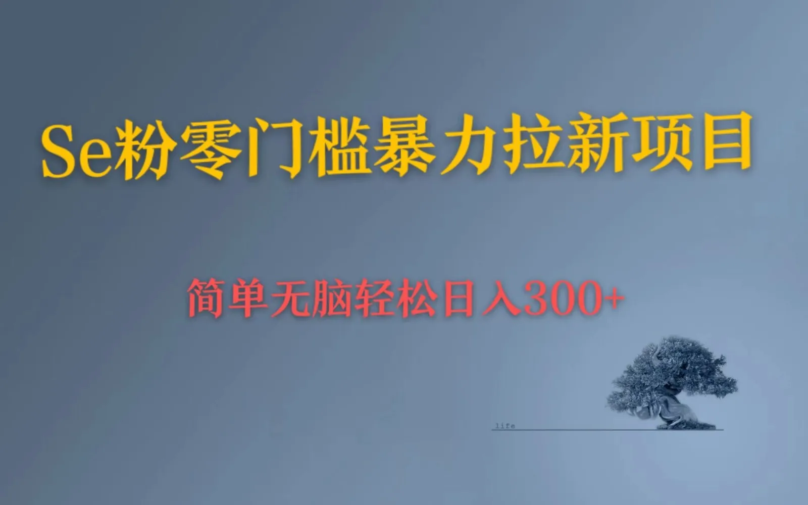 轻松增收钱：Se粉引流秘籍，小白日收入不断攀升 ！-网赚项目