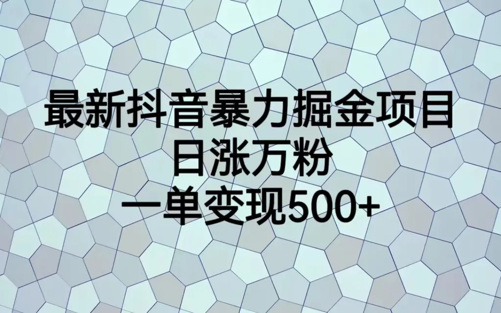 热门抖音项目快速盈利：每日新增粉丝过万，每单收益大幅提升-网赚项目