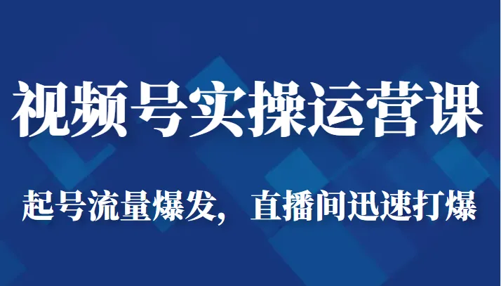 视频号运营实操课程：解锁起号流量爆发的秘诀-网赚项目