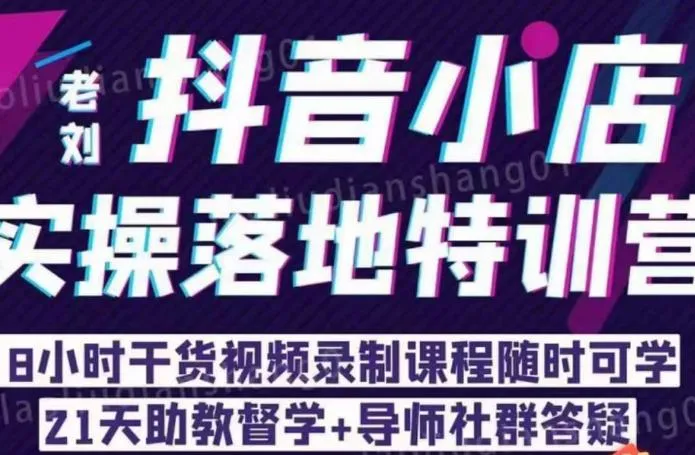 实战抖音小店运营技巧：8小时电商实操培训，助你掌握爆款商品策略！-网赚项目