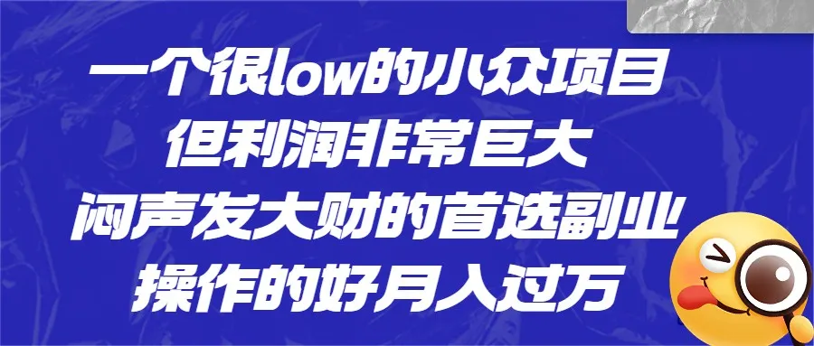 挖掘未被发现的财富：一个低调高增收的小众项目，揭秘闷声发大财的首选副业-网赚项目