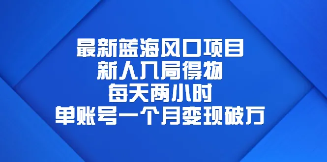 新手必看！两个月内暴增的蓝海风口项目，仅需每天投入2小时-网赚项目