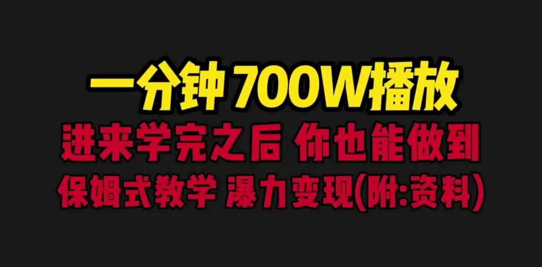 一分钟学会快速学习：700万播放教程助您轻松掌握保姆式变现技巧-网赚项目