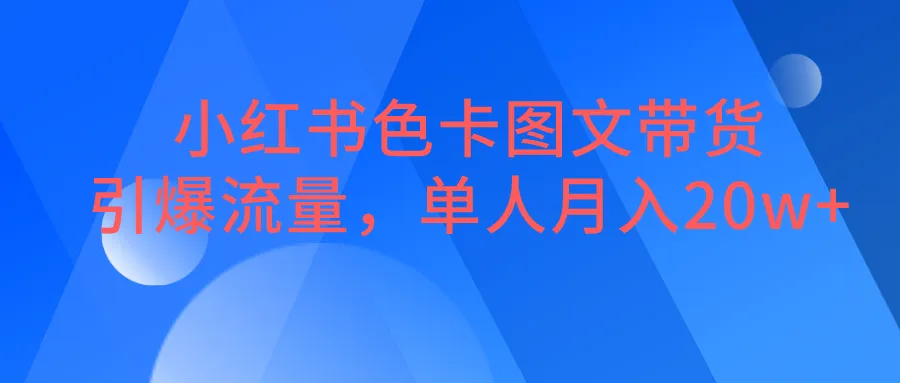 掌握小红书色卡图文带货秘籍：单月20W 收入揭秘！