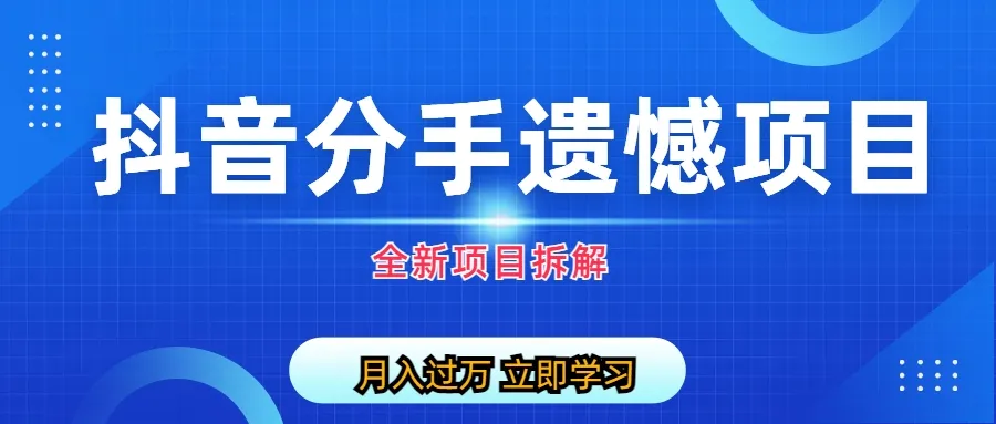 自媒体运营：从抖音分手遗憾到私域电商项目的实战拆解-网赚项目