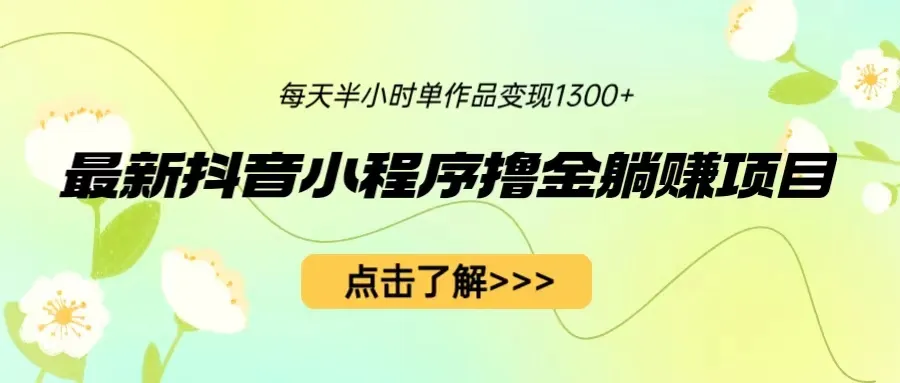 最新抖音小程序赚钱技巧：只需一部手机半小时，轻松增加收入-网赚项目