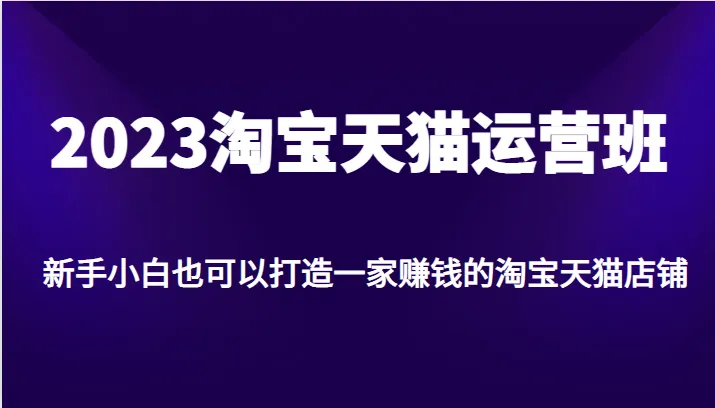 打造一家赚钱的淘宝天猫店铺：2023淘宝天猫运营班全程解析-网赚项目