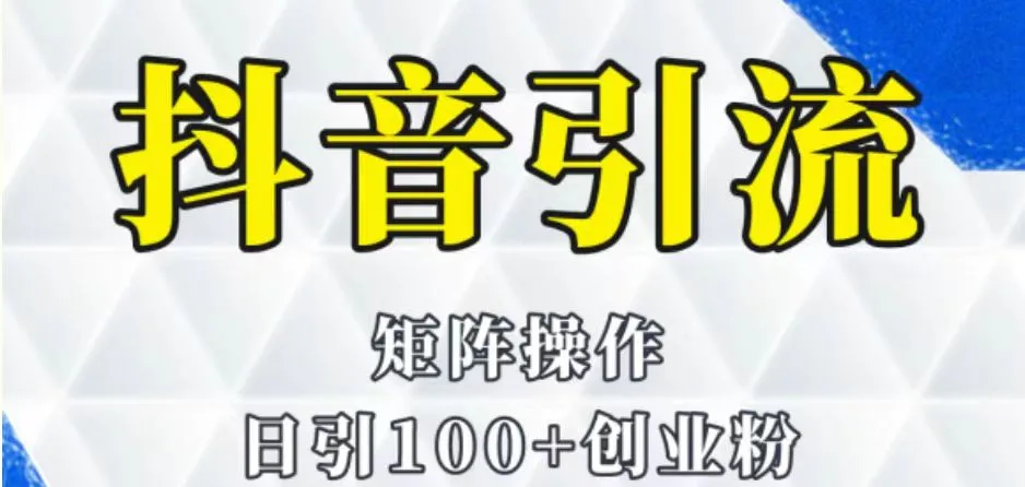 抖音图文引流实战技巧：解锁免费流量变现全攻略！-网赚项目