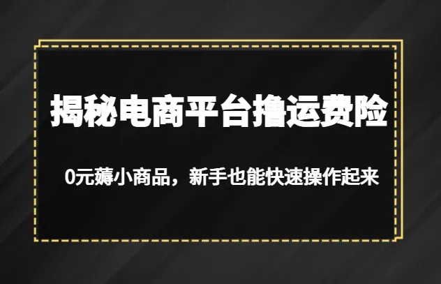 揭秘电商平台运费险：0元薅小商品，新手也能快速上手操作-网赚项目