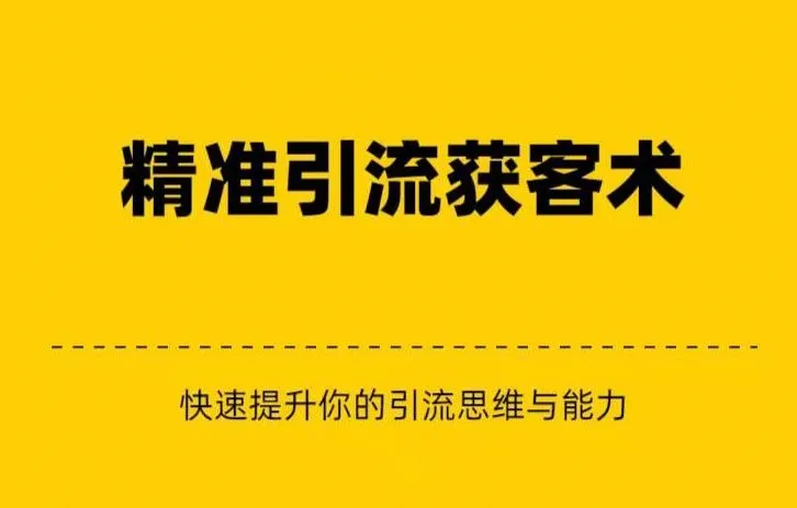 精准引流 私域营销 逆袭赚钱（三件套）：互联网赚钱的黄金法则揭秘-网赚项目