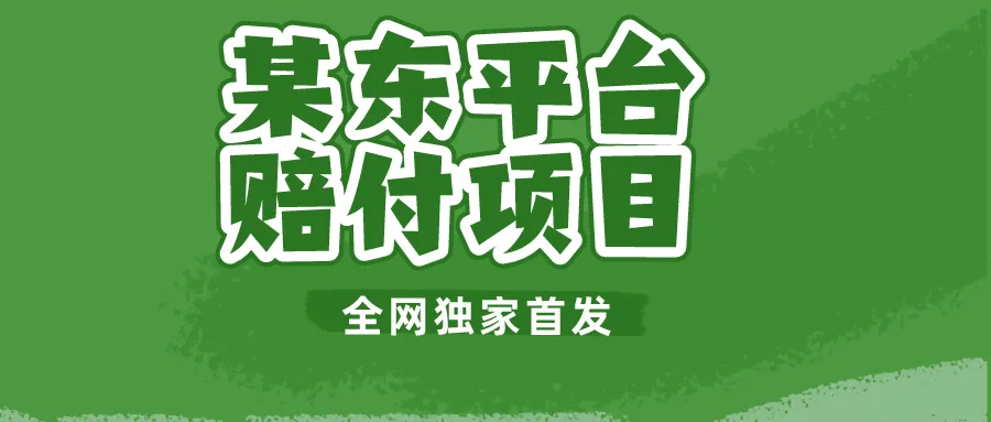 某东平台赔付项目解析：赚钱新契机揭秘-网赚项目