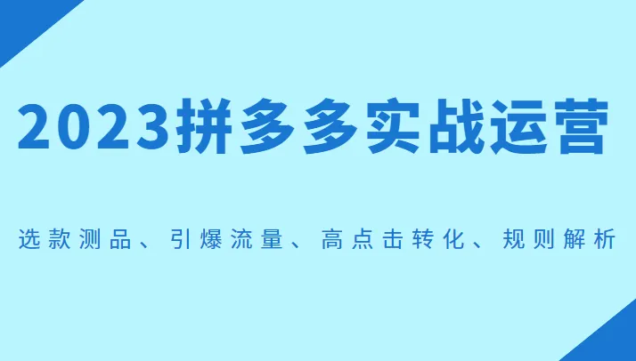 拼多多实战运营全攻略：选款、引流、转化、规则解析-网赚项目