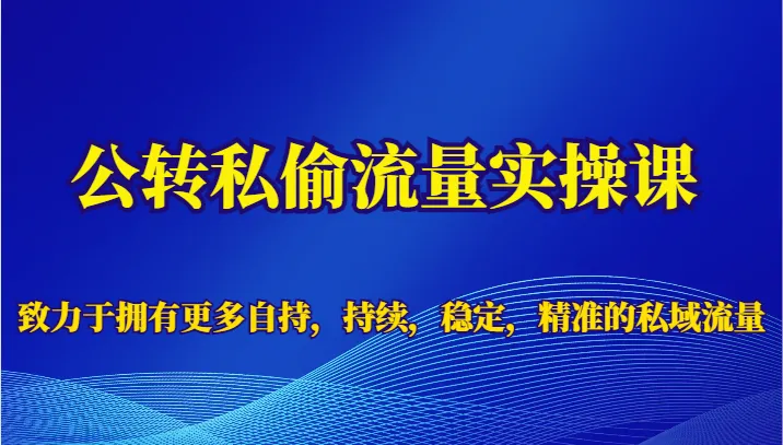 私域流量变现实操课：解密公转私模式，稳固个人品牌赚钱秘籍-网赚项目