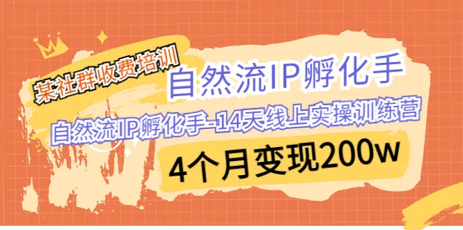 14天线上实操训练营：4个月实现自然流IP孵化和变现增多的秘密-网赚项目