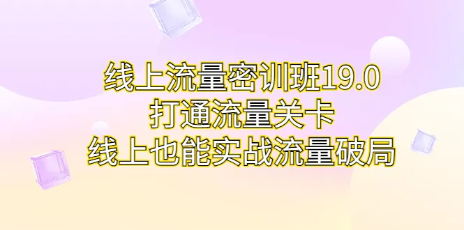 19.0线上实战流量课程：掌握核心技能，助力互联网创业成功-网赚项目