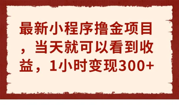 小程序赚钱新玩法揭秘：手掌形状视频项目一小时变现更多-网赚项目