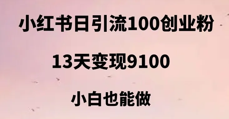 小红书创业攻略：引爆100 日流量，13天赚取更多，创业者首选的变现平台指南！-网赚项目