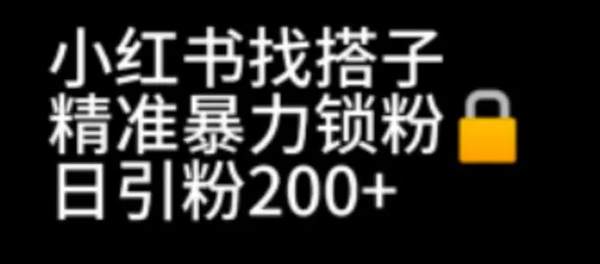 小红书找搭子引流新思路：暴力精准锁粉 日引200，稳定实操不封号！-网赚项目