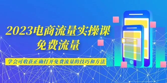 掌握电商流量实操技巧：免费流量获取全攻略-网赚项目