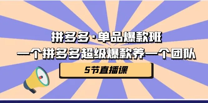 掌握拼多多爆款，打造超级销售团队的秘籍！-网赚项目