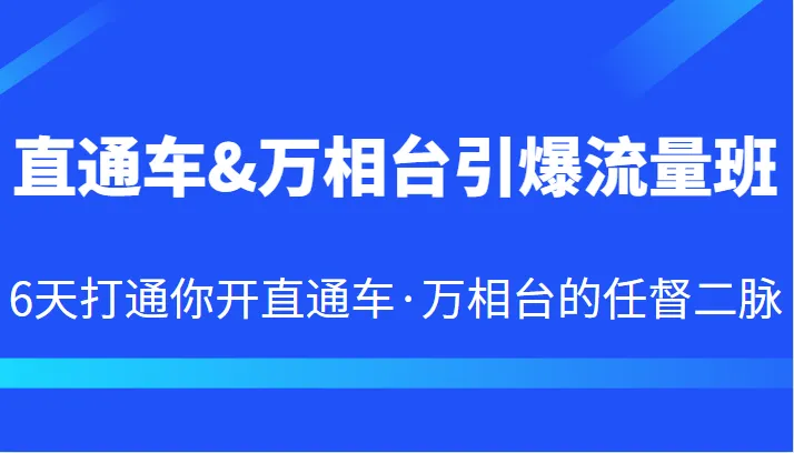 掌握直通车&万相台流量秘籍：6天速成引爆销售的必备技能-网赚项目