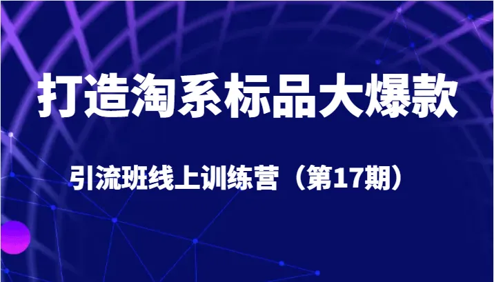 打造淘系标品大爆款引流班：视频号直播带货算法解析与实操筒-网赚项目