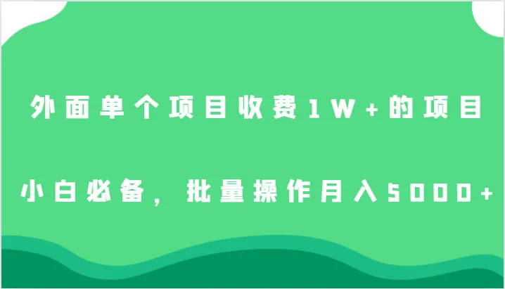 揭秘网络赚钱新趋势：小白必备的高增收项目，月收入更多 实现梦想-网赚项目