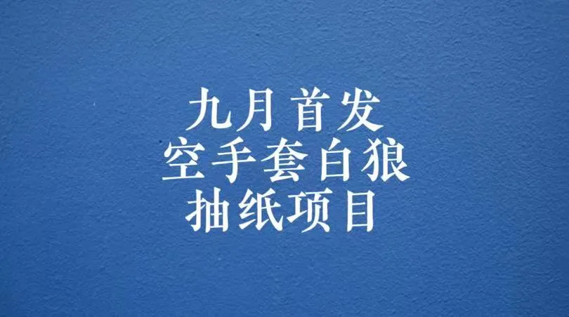 零成本赚钱秘籍：每天更多元空手套白狼抽纸项目，保姆级教学！-网赚项目