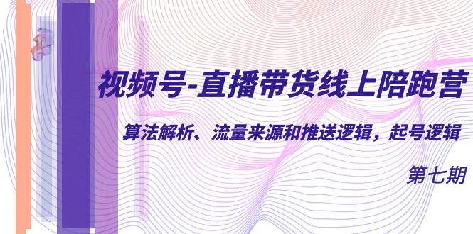 视频号直播带货实操指南：算法解析、流量推广与起号逻辑解读-网赚项目