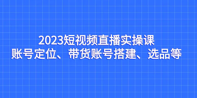 视频教程：2023年实战直播课程指南，精准定位、精选商品-网赚项目