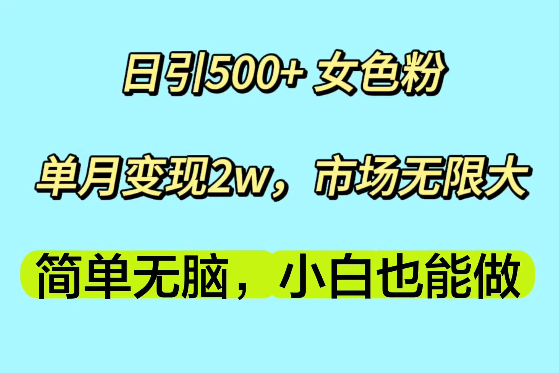 探索女色粉变现秘籍：日引500 ，月收入更多，市场无限大，轻松上手！-网赚项目