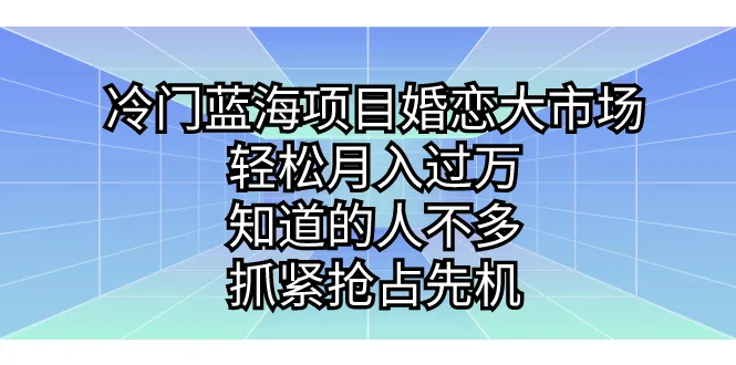 月增收万元婚恋平台，鲜为人知的新兴市场！-网赚项目