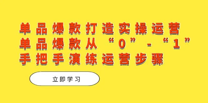 从零到一:单品爆款实战运营指南-网赚项目