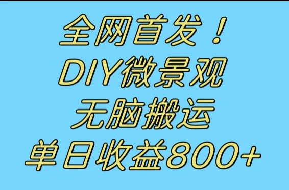 发现无穷乐趣：DIY微景观全攻略，日收入不断攀升 ，创意赚钱新途径！-网赚项目