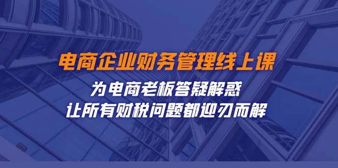 解决电商财务难题，老板必备的线上课程-网赚项目