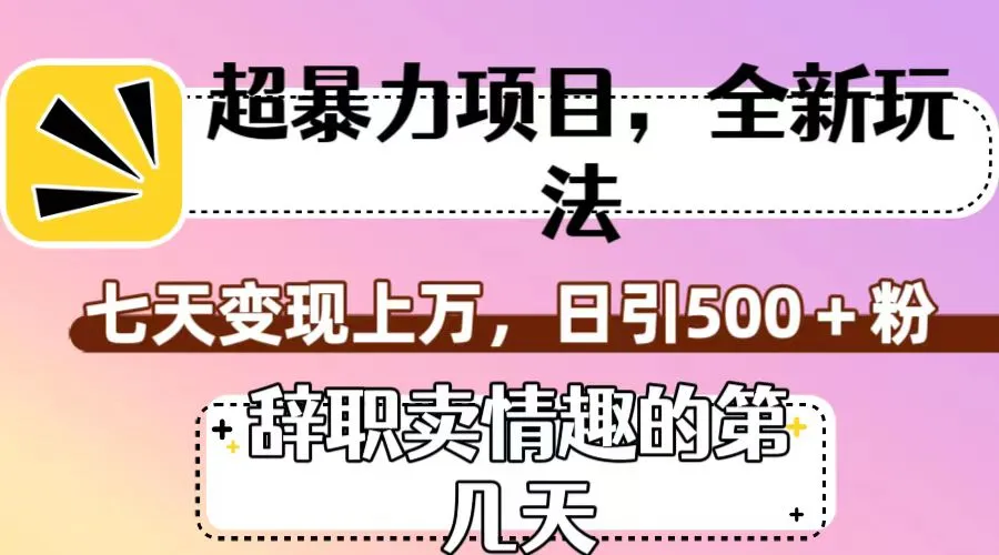 揭秘超暴利项目：辞职卖情趣的全新玩法，七天变现上万，日引500 粉-网赚项目