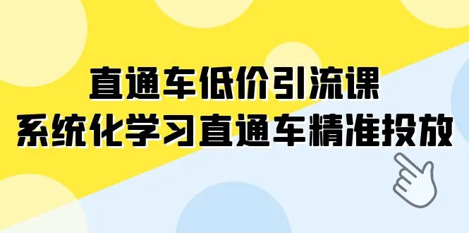 14节全面课程：低价引流课助力直通车精准投放-网赚项目