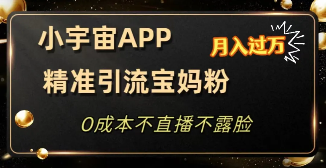 开启宝妈创业新纪元：小宇宙App赋能私域变现秘籍大揭秘！-网赚项目