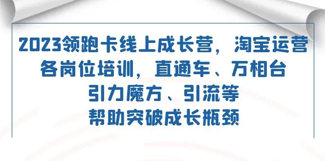 2023领跑·卡线上成长营淘宝运营各岗位培训直通车万相台引力魔方引流指南-网赚项目