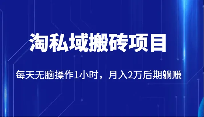 深度解析：无脑操作1小时，月收入更多的淘私域搬砖项目背后的秘密