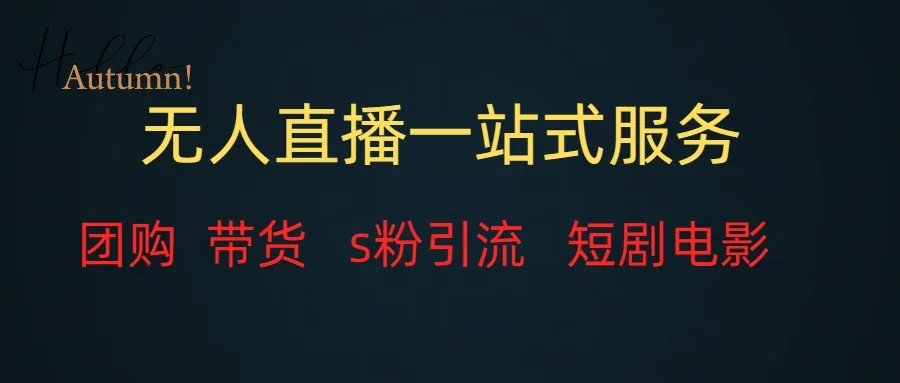 掌握变现技巧：无人直播全套服务一站式解析-网赚项目