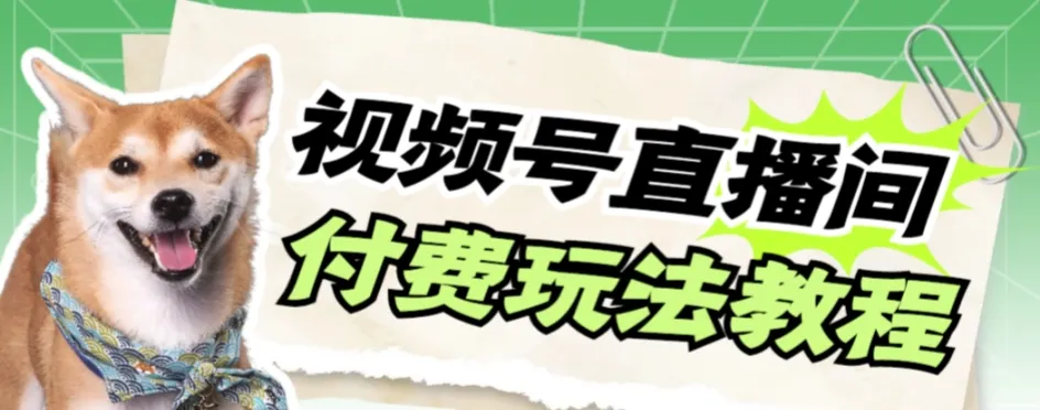 掌握视频号美女付费无人直播的秘诀，轻松实现收益增长【全面教程】-网赚项目