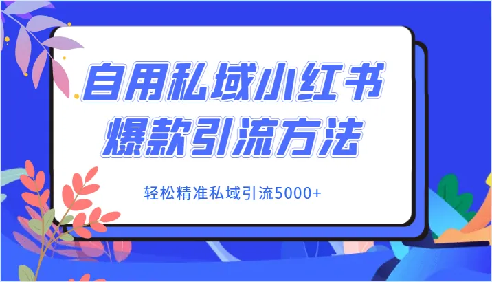 掌握自用私域小红书爆款引流技巧，轻松实现精准引流5000 ！-网赚项目