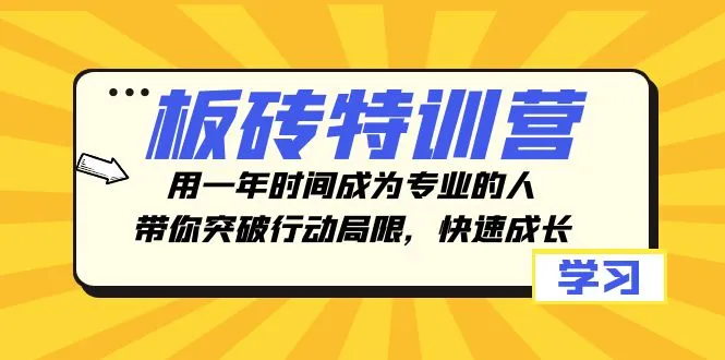 板砖特训营：1年实现专业技能，解锁行动潜力-网赚项目