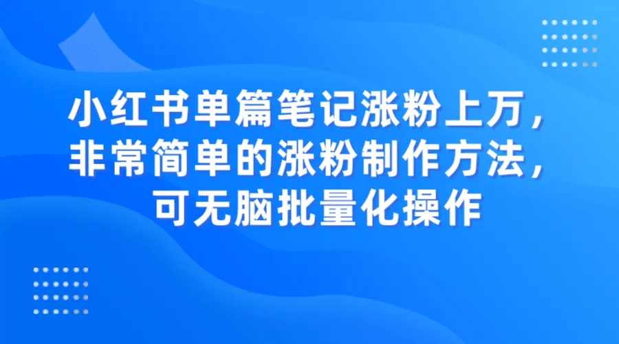 成为小红书涨粉达人：简单方法，批量操作，带你上万粉丝-网赚项目