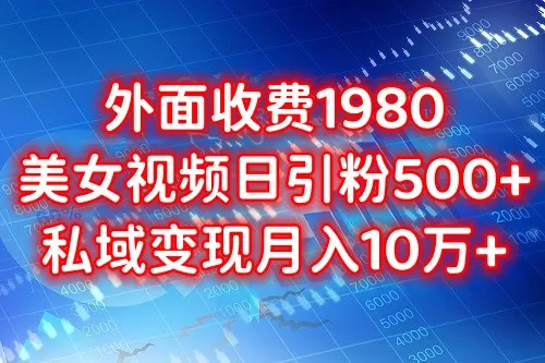 打造私域流量王者：美女视频引流法，月收入更多 秘笈揭秘！-网赚项目