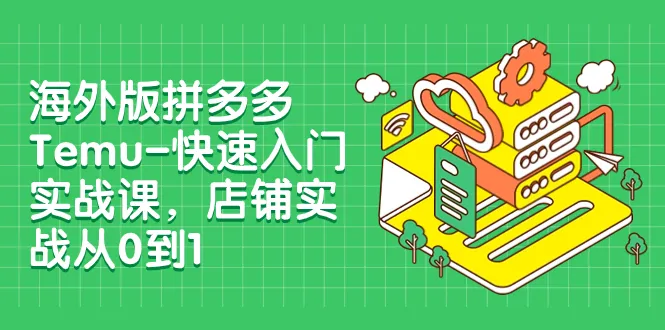 海外版拼多多Temu快速入门实战课，打造您的海外电商王国-网赚项目