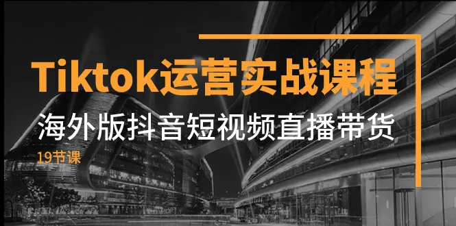 精通TikTok运营：掌握海外版抖音短视频直播带货的实战技巧-网赚项目