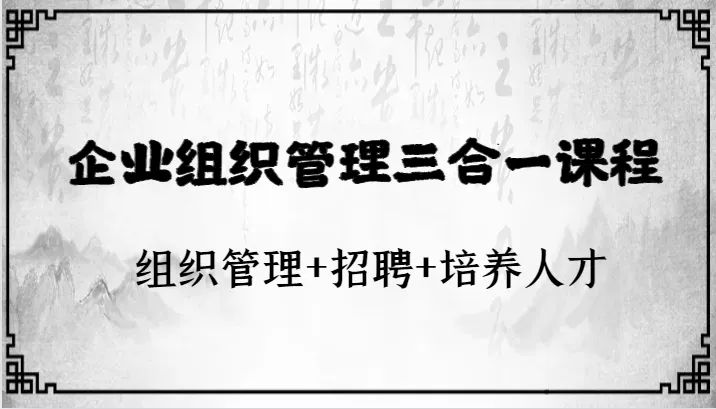 精英企业管理全攻略：组织管理 招聘 人才培养全方位解析-网赚项目